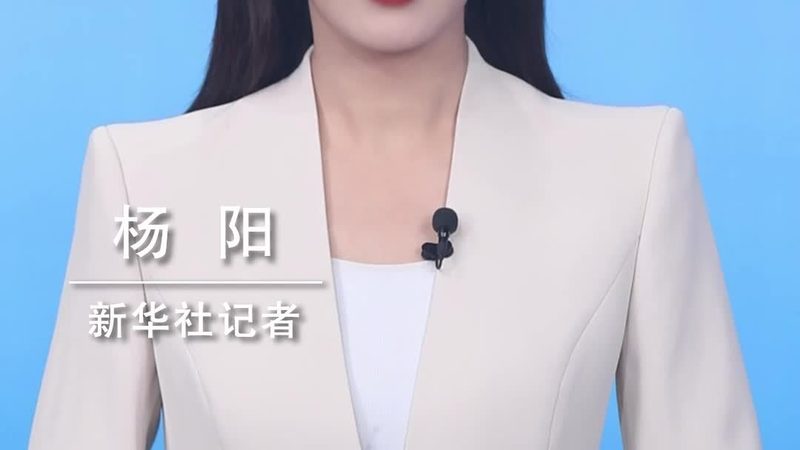 等保2.0风险评估：企业数据安全的坚实防线**